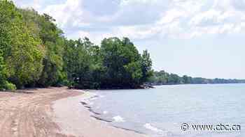 Health unit warns against swimming at 5 area beaches due to elevated e.coli levels