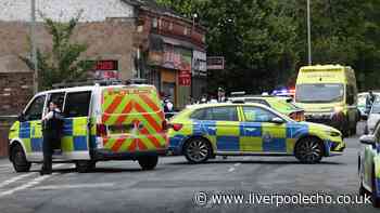 Two gunshots heard and people seen fleeing after shooting inside Lodge Lane cafe