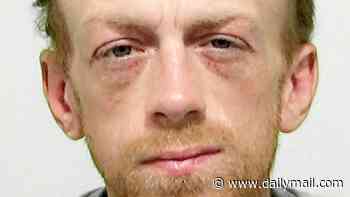 Bobby on the seat! Moment armed police officer borrows teenager's BIKE to chase fleet-footed shoplifter now jailed for £6,000 of thefts