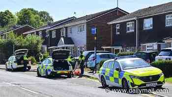Five people arrested in murder probe after 18-year-old was stabbed in seaside town then driven to be left outside hospital