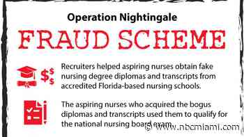 South Florida nursing schools owner pleads guilty in fraudulent diploma scheme