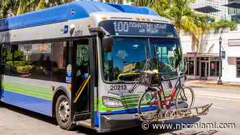 Man's warning shot fired from rifle hit Miami-Dade Transit bus, injured woman, cops say