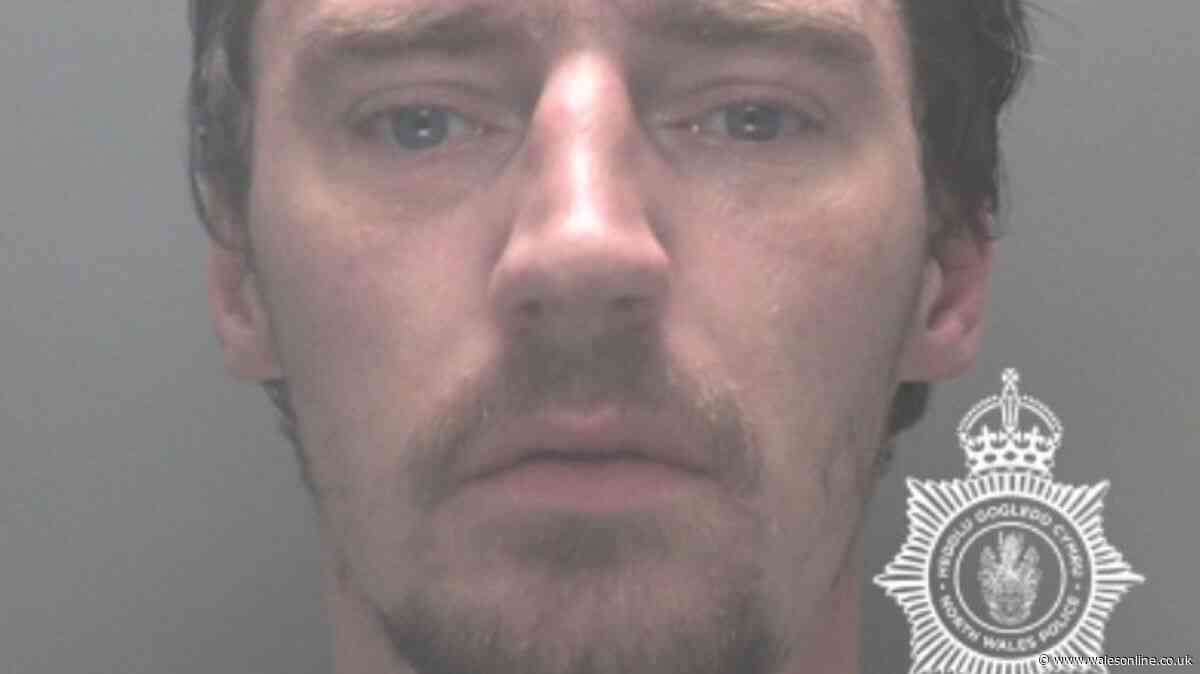 Police confront man walking through Anglesey town with knife