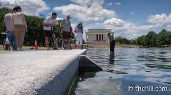 Trump's Lincoln Memorial Reflecting Pool work comes under scrutiny: 4 things to know