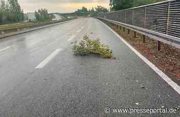 FW Reichenau: Ast auf Fahrbahn nach Gewitter - 19.06.2026