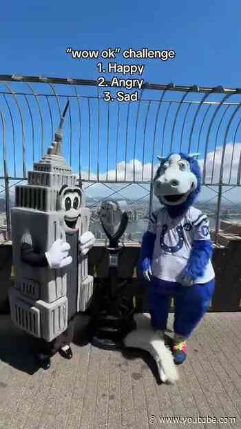 Did we crush @BlueColtsMascot
