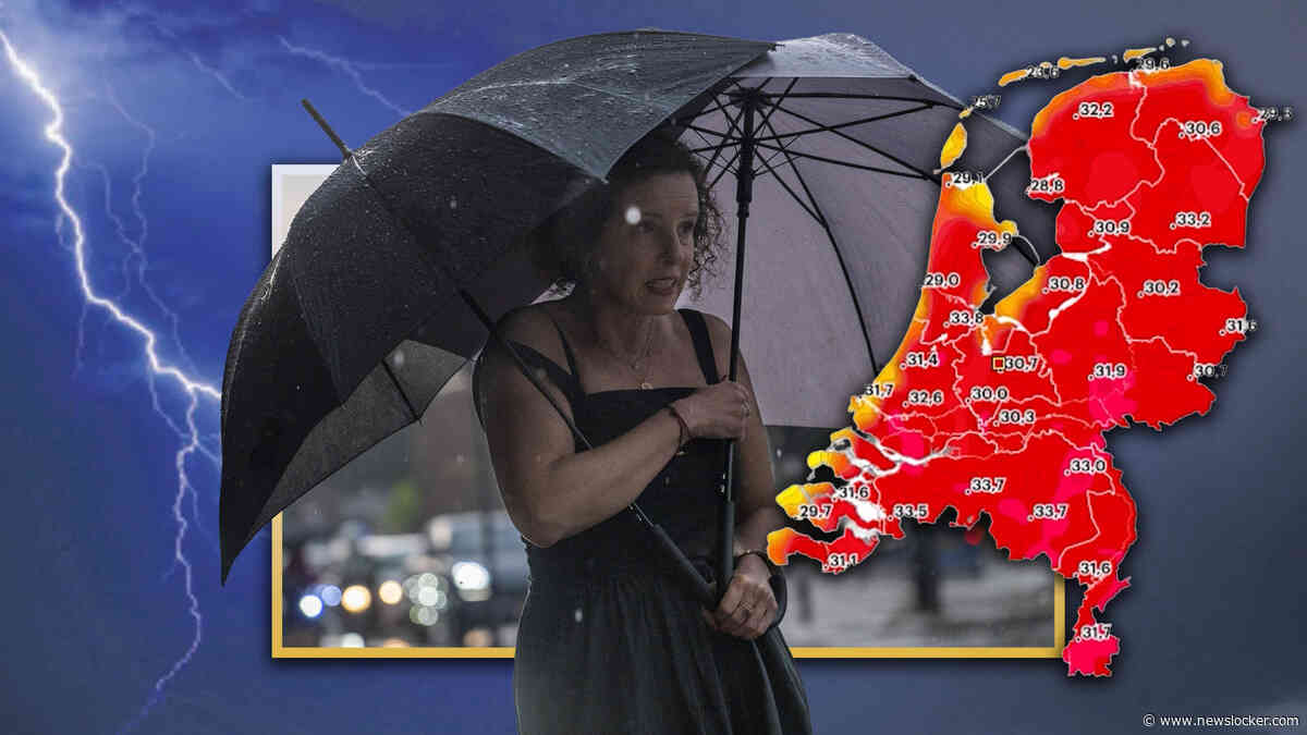 Veel stormmeldingen in midden van het land, NL-Alert verstuurd: in groot deel van het land code oranje