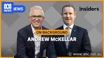 Is the government's tax reform turning into a "freak show"? | Insiders On Background