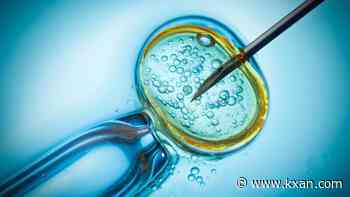 IVF, equal protection sparks division within pro-life Texas Republican Party