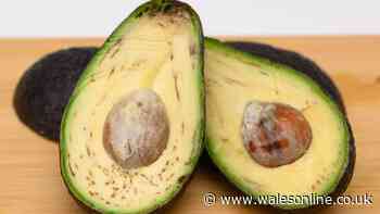 Is it safe to eat an avocado that's gone brown? I asked experts and they all agreed on 1 thing