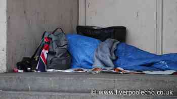 Homeless people beaten with stick in broad daylight attack