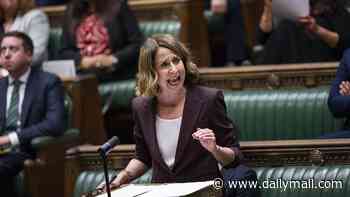 Labour cabinet minister welcomes Information Commissioner's resignation over 'vulgar and highly sexualised language'