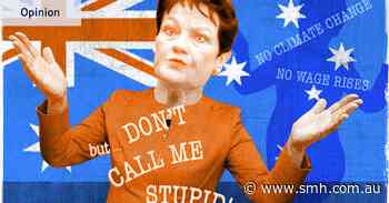 Hanson is right about political correctness. It stops us calling her stupid