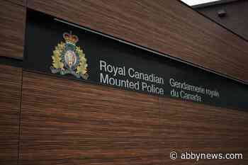 Youth under 12-month terrorism peace bond in Salmon Arm school threat case