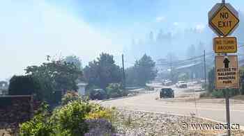 Wildfire that prompted evacuations in West Kelowna was caused by prohibited campfire, officials say