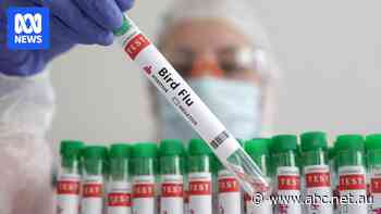 First case of deadly H5 bird flu confirmed in Australia