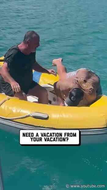 Crazy Fails Compilation