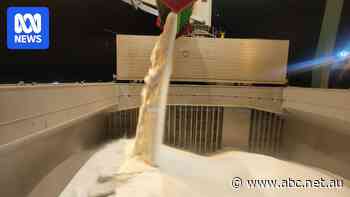 Proposed urea plant secures $2.4b worth of deals without being built