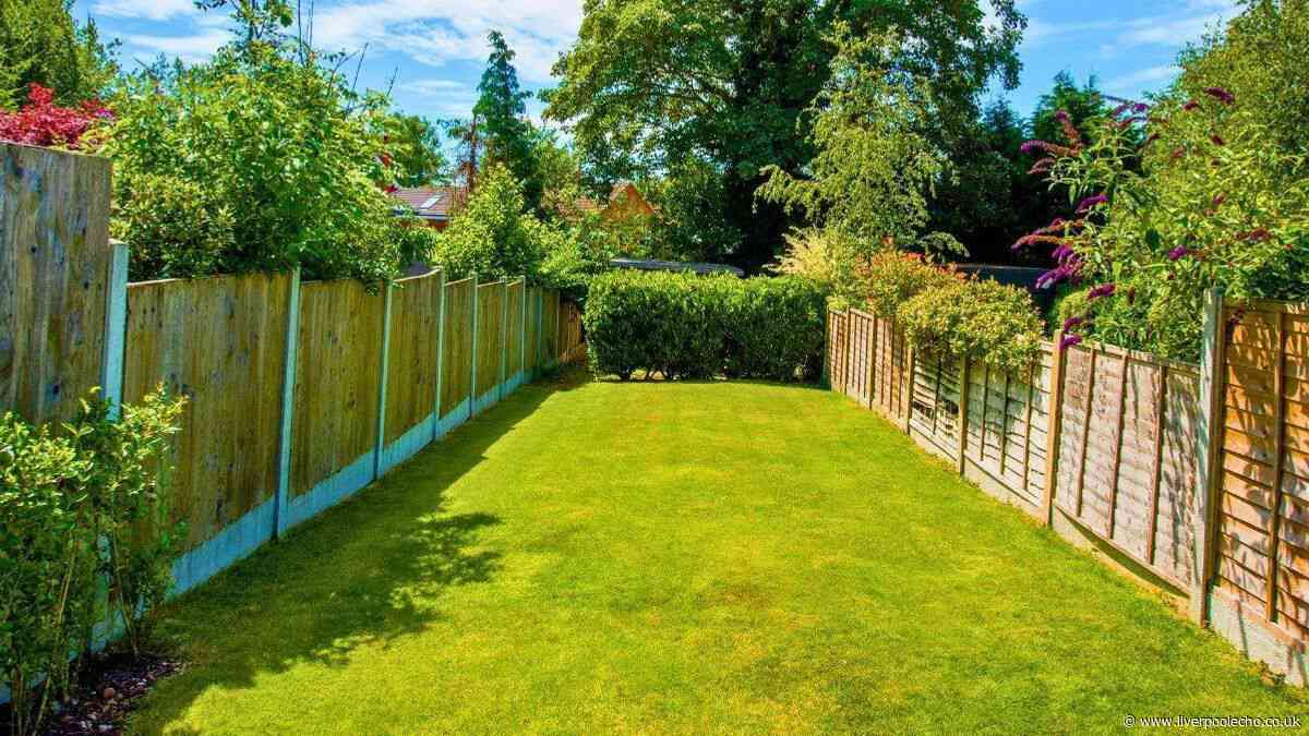 Gardeners urged to sprinkle lawns with 1 item to grow thicker and greener grass
