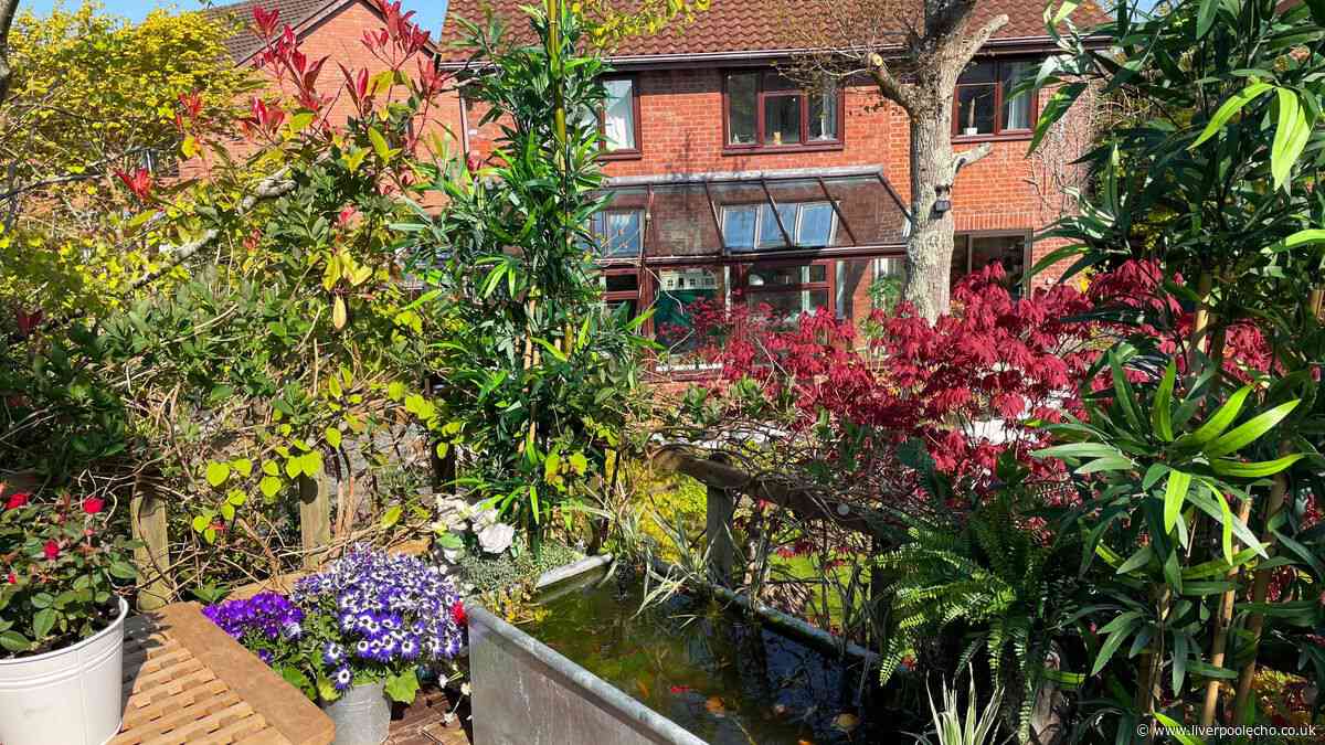 5 garden items interior designers urge you to remove to avoid your home looking cheap
