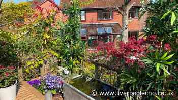5 garden items interior designers urge you to remove to avoid your home looking cheap