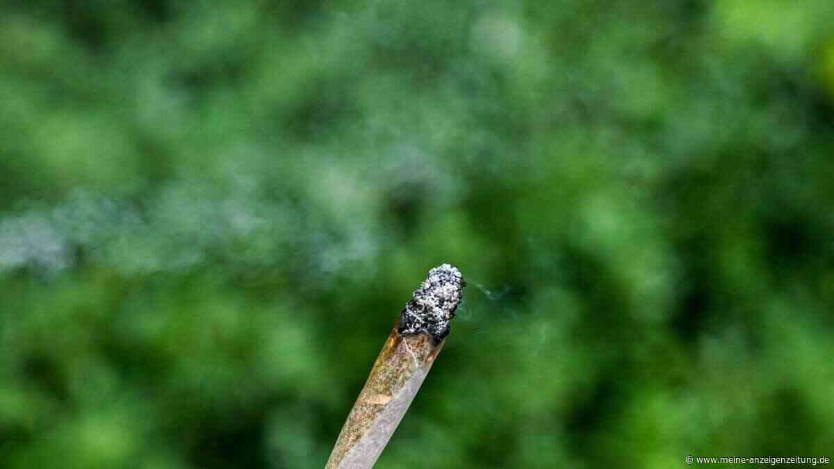 Je kommerzieller der Cannabis-Markt, desto höher das Risiko