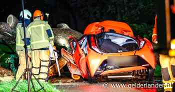 Dode door noodweer: boom valt op rijdende auto in Drenthe, bestuurder overleden