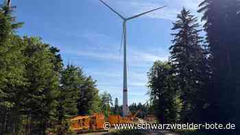 Windpark bei Bad Wildbad: Kran ist endlich auf dem Kälbling angekommen - Reparatur dauert