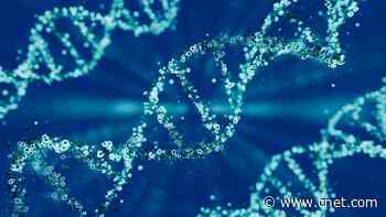 Considering Gifting a DNA Test for Father's Day? This Experts Says to Think Twice