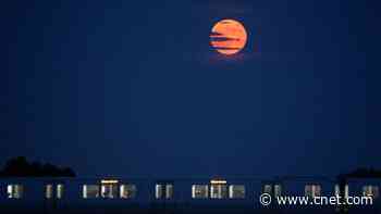 June's Strawberry Moon Is the Final Micro Moon of 2026: Here's How to See It