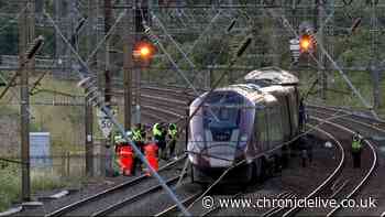 Driver killed and dozens of passengers injured after two trains in horror crash near Bedford