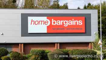 'Hair is smooth' with Home Bargains £40 shampoo reduced to £6 in 1000ml deal