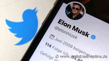 Erst Frust, dann Mega-Gewinn: Vom Twitter-Debakel zum SpaceX-Jackpot: Musks Investoren jubeln doch noch