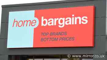 ‘Soft and sleek hair’ with £40 shampoo reduced to £6 in 1000ml Home Bargains deal