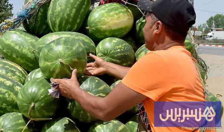 أسواق الدلاح تستفيد من وفرة الإنتاج