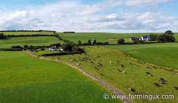 Food imports rise as NFU Scotland warns of pressure on farmers
