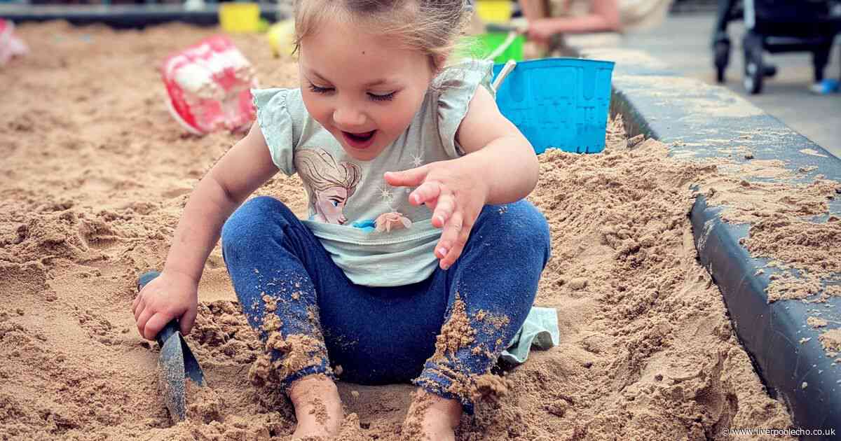 AD FEATURE: Why garden centres have become the ultimate summer day out