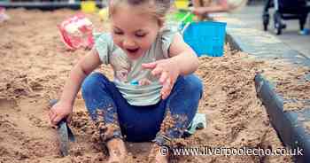 AD FEATURE: Why garden centres have become the ultimate summer day out
