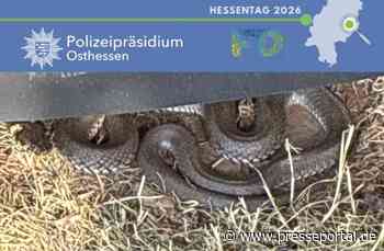 POL-OH: Hessentag 2026 - Polizeiliche Tagesbilanz zum achten Veranstaltungstag