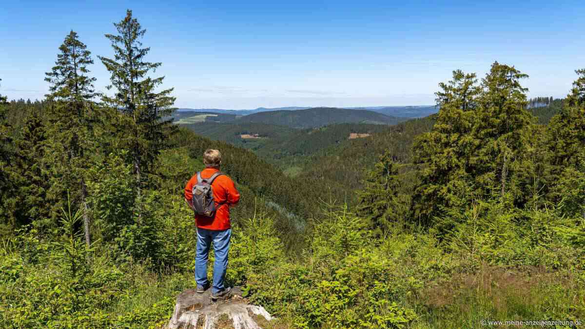 Rothaarsteig zwischen Sauerland und Westerwald – wilder Höhepunkt unter den Fernwanderwegen
