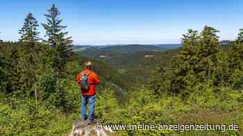 Rothaarsteig zwischen Sauerland und Westerwald – wilder Höhepunkt unter den Fernwanderwegen