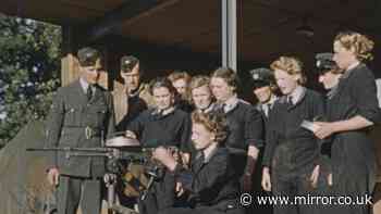 Carrying cameras Into hell - Inside Imperial War Museum's bid to save the raw, unseen truth of WWII