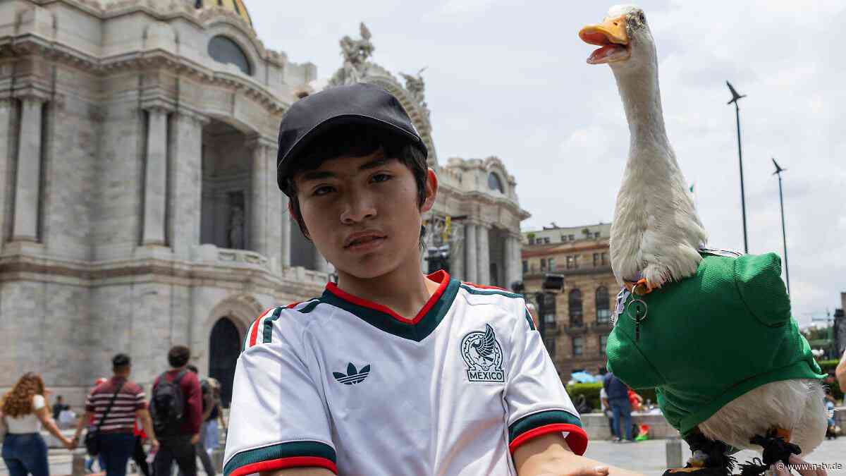 Tierisch was los: Eine Ente macht WM-Gastgeber Mexiko völlig verrückt