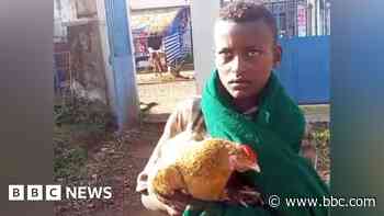 Boy, 12, wins hearts after trying to check sick chicken into Ethiopian hospital