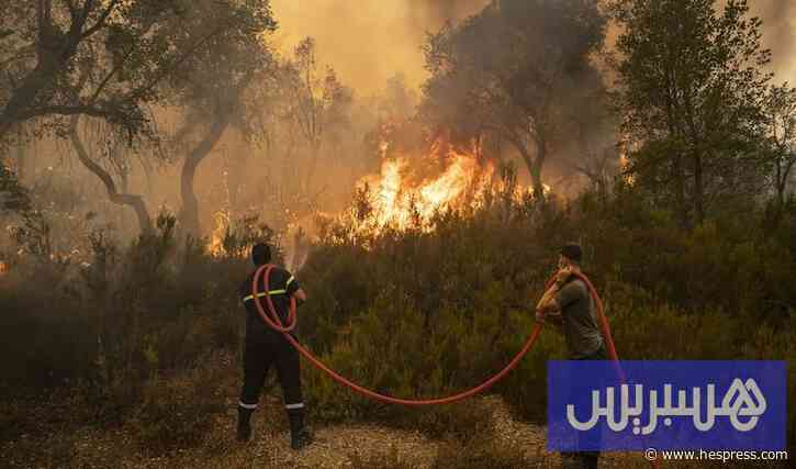 حرارة الصيف ترفع درجة التأهب لمواجهة حرائق الغابات بشمال المغرب