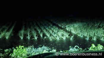 Lokaal schade op percelen door extreem noodweer