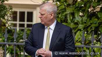 'I was only journalist on trip with Andrew Mountbatten-Windsor - I was stunned by two comments'