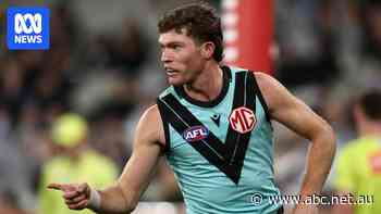 Live: Port and Pies in arm wrestle, Hawk cops ban after big hit breaks jaw