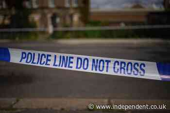 Four year-old boy ‘abducted’ in park while mother was tending to baby