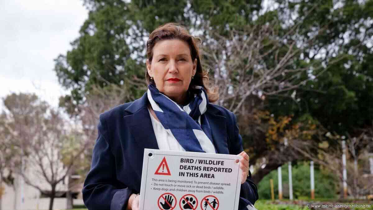 Gefährliche Vogelgrippe erstmals auf Australiens Festland